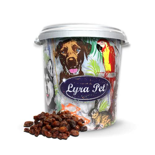 Rosinen für Vögel Lyra Pet ® 10 kg Futterrosinen
