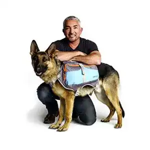 Satteltasche-Hund