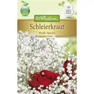 Schleierkraut-Samen