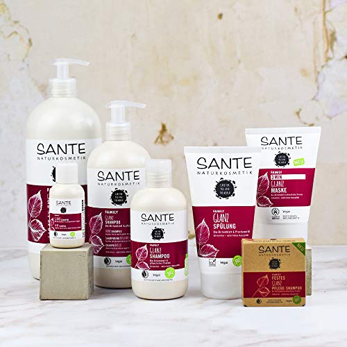 Silikonfreies Shampoo Sante Naturkosmetik Glanz Bio-Birkenblatt