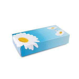 Taschentücher-Box FUNNY Kosmetikboxen 2 lagig 100 Tücher