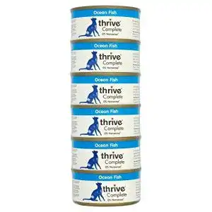 Thrive-Katzenfutter