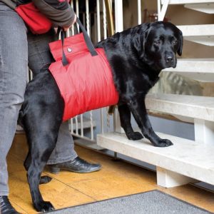Tragehilfe-Hund Doxtasy Tragehilfe “Helping Harness” rot
