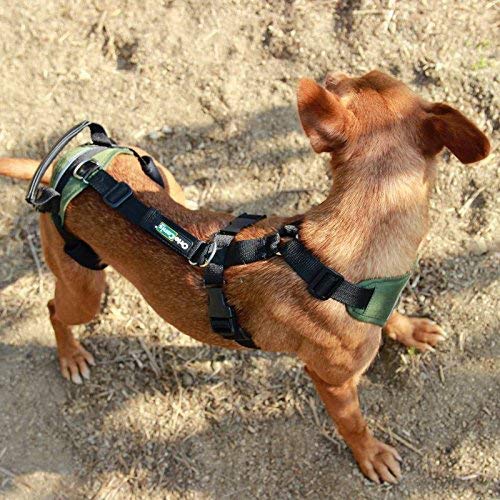 Tragehilfe-Hund Ortocanis Ganzkörper-Tragehilfe für Hunde