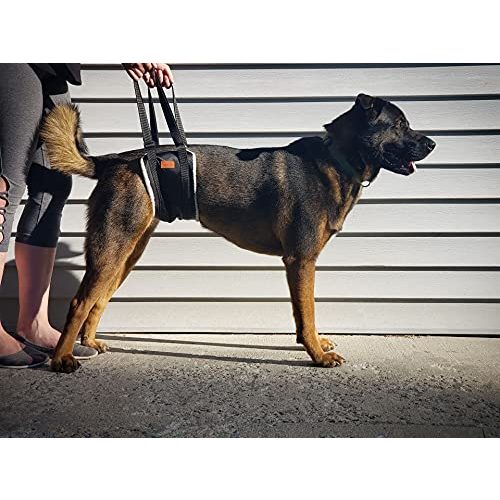 Tragehilfe-Hund PICK FOR LIFE Hundegeschirr Tragehilfe