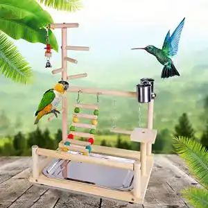 Die beste Vogelspielplatz 2026 Test Bestseller Vogelspielplatz