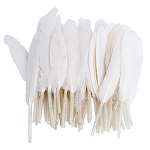 Weiße Federn HugeStore 100 Stück Echte Naturfedern