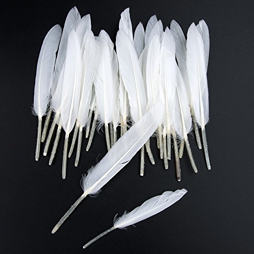 Weiße Federn Pveath Federn zum Basteln, 250 Stück, farbig