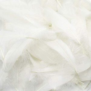 Weiße Federn Reastar DIY Weiß Federn, 120 Stück Naturfedern