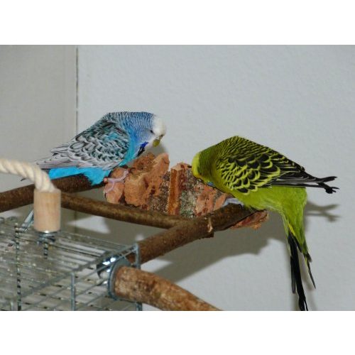 Wellensittich-Spielzeug Vogelgaleria 6-teiliges Set für Vögel