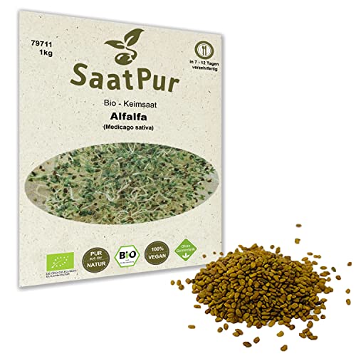 Alfalfa SaatPur 1 kg BIO Keimsprossen Samen Keimling
