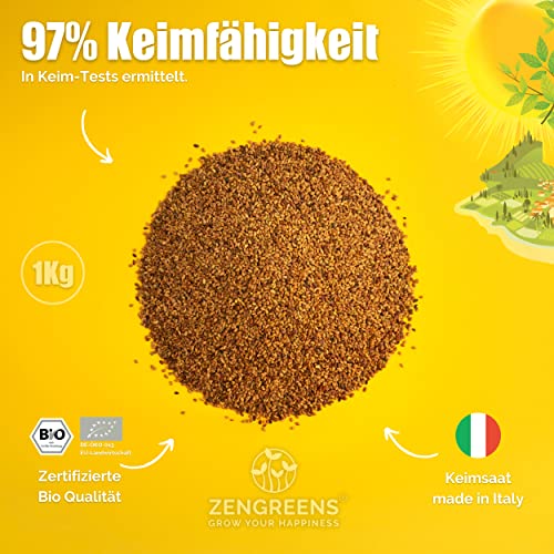 Alfalfa zengreens ® -Bio Sprossen-Samen, 1Kg, Microgreens