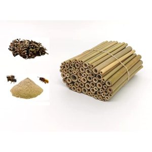 Bambusröhrchen aktiongruen, 70 Stück, 12 cm mit Lehmpulver