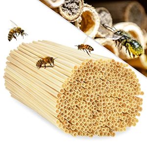 Bambusröhrchen EKKONG 300 STK Nisthülsen für Insektenhotel