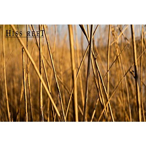 Bambusröhrchen Hiss Reet ® Schilfrohrhalme MEDIUM