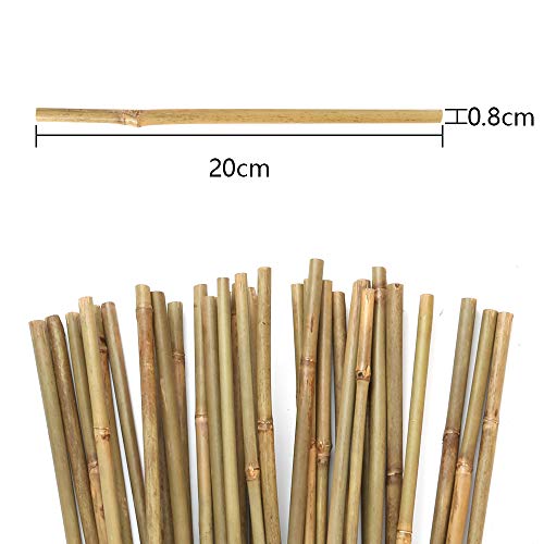 Bambusröhrchen Pllieay 45 cm natürliche dicke Bambuspfähle
