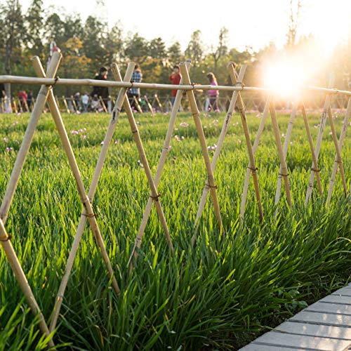 Bambusröhrchen Relaxdays Bambusstäbe 150cm, 25 Stück