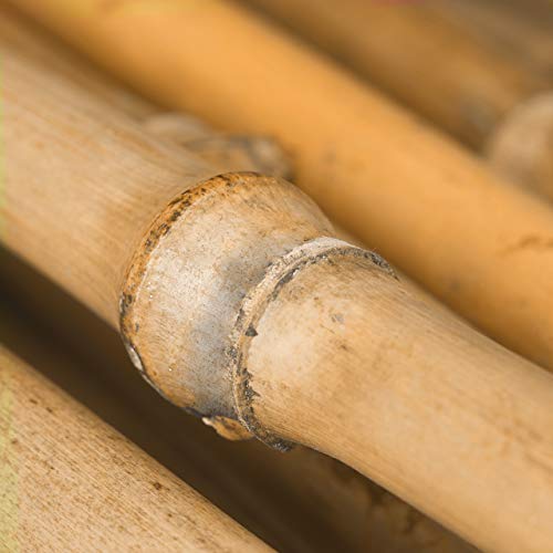 Bambusröhrchen Relaxdays Bambusstäbe 150cm, 25 Stück