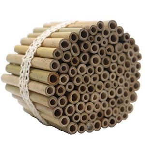 Bambusröhrchen Super Idee 100 Stück 10cm Länge