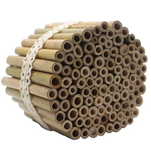 Die beste bambusroehrchen super idee 100 stueck 10cm laenge Bestsleller kaufen