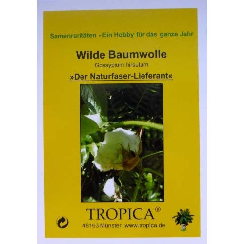 Baumwollsamen Tropica, Wilde Baumwolle, 10 Samen