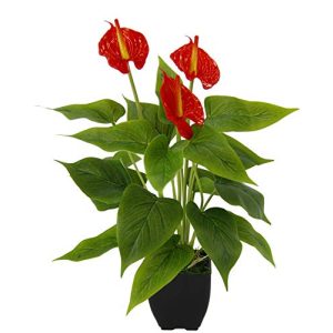 Blume im Topf Flair Flower Künstliche Anthurium Pflanze