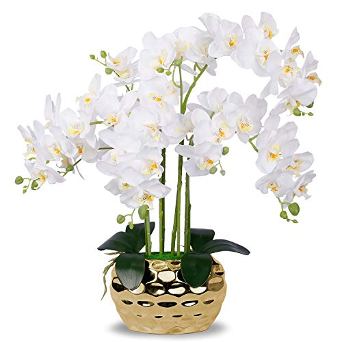 Die beste blume im topf renatuhom kuenstliche orchideen im topf Bestsleller kaufen