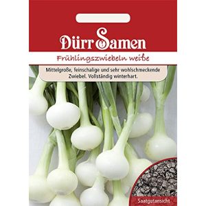 Dürr-Samen Dürr-Samen, Frühlingszwiebeln “Vaugirard Weiße”