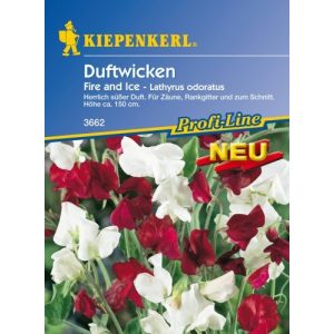 Duftwicken-Samen Kiepenkerl Lathyrus odoratus, Fire and Ice