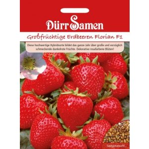 Erdbeer-Samen Dürr-Samen Großfrüchtige Erdbeeren Florian F1