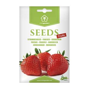 Erdbeer-Samen Minigarden, enthält zwischen 300 und 340 Samen