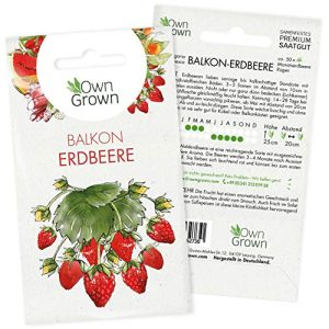 Erdbeer-Samen OwnGrown Erdbeeren Samen: ca. 50