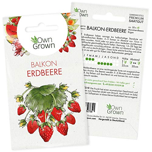 Die beste erdbeer samen owngrown erdbeeren samen ca 50 Bestsleller kaufen