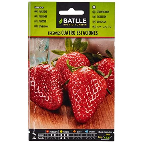 Die beste erdbeer samen semillas batlle batlle aromatic seeds Bestsleller kaufen