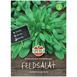 Feldsalat-Samen Sperli Premium Holländischer Breitblättriger