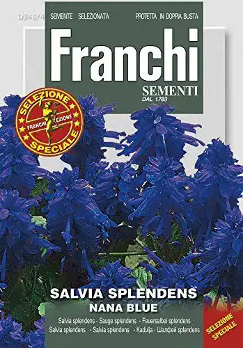 Feuersalbei Franchi Sementi DBFS348-4 Splendes Blue