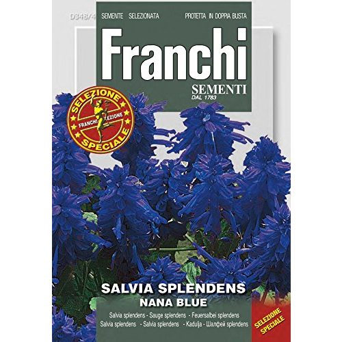 Die beste feuersalbei franchi sementi dbfs348 4 splendes blue Bestsleller kaufen