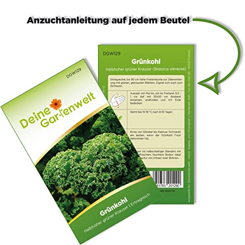 Grünkohl-Samen Deine Gartenwelt Halbhoher grün kraus