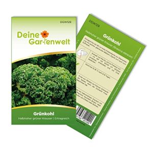 Grünkohl-Samen Deine Gartenwelt Halbhoher grün kraus