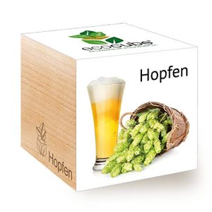 Hopfen-Samen Feel Green Feel 296343 Green Ecocube Hopfen