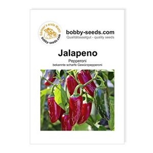 Jalapeno-Samen Gärtner’s erste Wahl! bobby-seeds.com