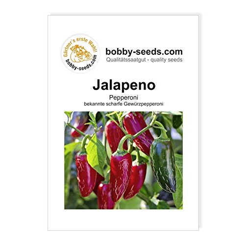 Jalapeno-Samen Gärtner’s erste Wahl! bobby-seeds.com