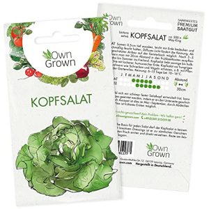 Kopfsalat-Samen OwnGrown Kopfsalat Samen, ca. 500 Pflanzen
