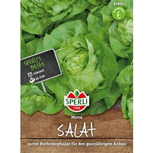 Kopfsalat-Samen Sperli 82850 Premium Kopfsalat Samen Mona