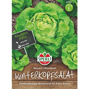 Kopfsalat-Samen Sperli Winter-Butterkopfsalat, frostbeständig