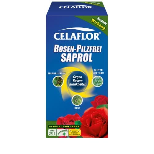 Die beste mittel gegen mehltau celaflor rosen pilzfrei saprol 250 ml Bestsleller kaufen