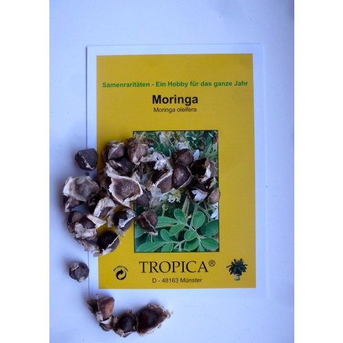 Moringa-Samen Tropica, Moringa (Moringa oleifera) 15 Samen