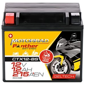 Motorradbatterie 12 V 10 Ah Panther GEL Batterie YTX12-BS