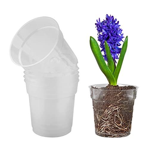 Die beste orchideentopf tslbw 5 stueck transparent kunststoff Bestsleller kaufen