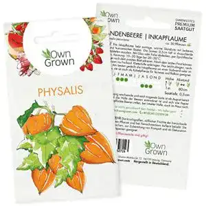 Physalis-Samen